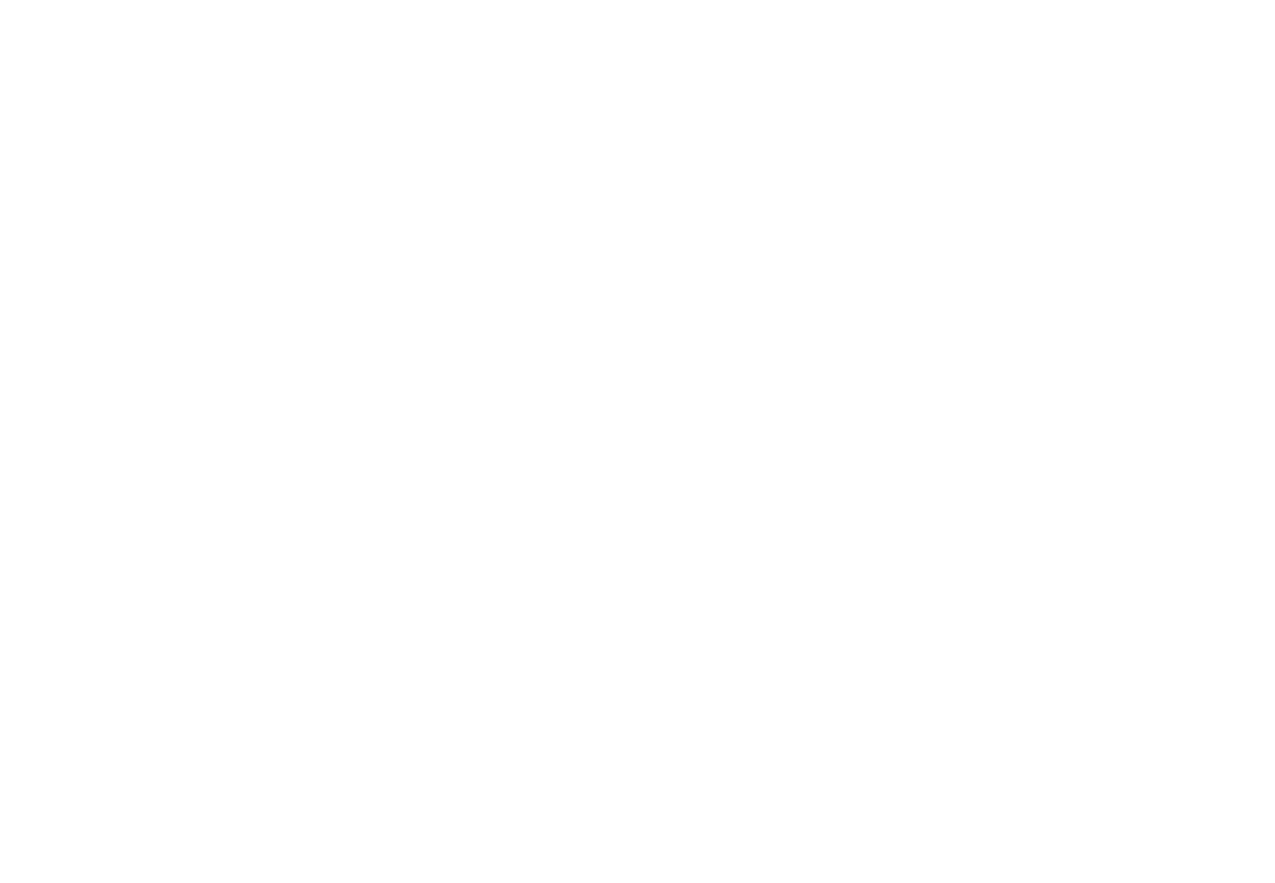 leechcraft-samsun-logo